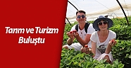 Çilek seraları ve meyve bahçeleri turistlere açıldı