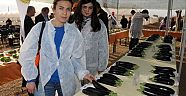 Daha dayanıklısını yetiştirdi