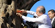 Daha yeşil bir Türkiye’nin hazırlıklarını yapıyoruz