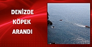 Denize düşen köpek için alarma geçildi