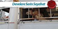 Develere Serin Seyahat