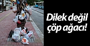Dilek değil çöp ağacı!