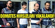 Domates hırsızları MOBESE’ye yakalandı