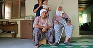 Dört kuşak bir arada