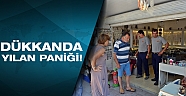 Dükkana giren yılan paniğe neden oldu