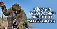 Dünyanın en büyük canlı bitki heykel sergisi EXPO’da