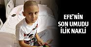 Efe’nin son umudu ilik nakli