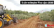 Ek süre verilmeyince 90 nar ağacı söküldü