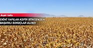 Ekimi yapılan Aspir bitkisinden başarılı sonuçlar alındı