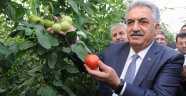 Emekli’ye müjdeyi bakan verdi