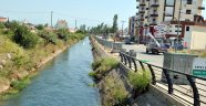 “En özel festival” etkinlikleri başlıyor