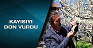 Erken açan kayısı ağaçları dondan zarar gördü