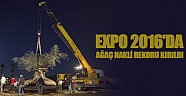 EXPO 2016’da ağaç nakli rekoru kırıldı