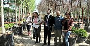 EXPO 2016’nın ağaçları geldi