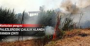Falezlerdeki çalılık alanda yangın çıktı