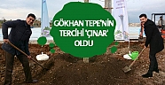 Gökhan Tepe'nin tercihi 'çınar' oldu