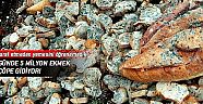 Günde 5 milyon ekmek çöpe gidiyor!