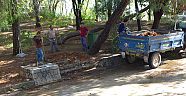 Haberimiz ses getirdi, Kuğulu Park temizleniyor      