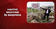 Hafiye muhtar iş başında