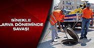 Haşere ile mücadele ordusu kuruldu