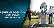 ’Hayat Ağacı’ toprakla buluştu
