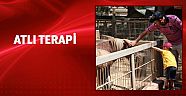 Hayvanat bahçesinde çocuklar Atlarla terapi’de