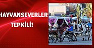 Hayvanseverlerden fazla mesai tepkisi