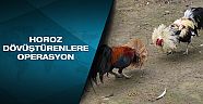Horoz dövüştürenlere operasyon