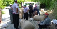 İpek böceğini yağmur vurdu