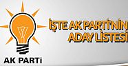 İşte AK Parti’nin aday listesi