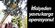 İtfaiyeden yavru karga operasyonu!