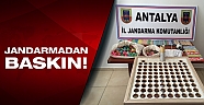 Jandarma kumar oynatılan kıraathaneye baskın yaptı