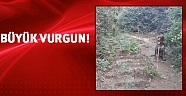 Jandarmadan uyuşturucu operasyonu