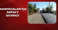  Karıncalar da asfalt sevinci