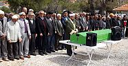 Kaş'ın ulu çınarı yaşamını yitirdi