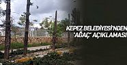 Kepez Belediyesi’nden ’ağaç’ açıklaması