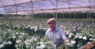 Kesme çiçekte Antalya birinci