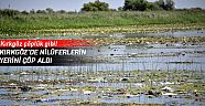 Kırkgöz'de nilüferlerin yerini çöp aldı