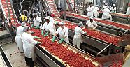 Konsey “Salça Fabrikası” tavsiyesinde bulunacak