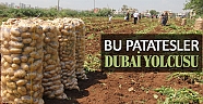 Korkuteli patatesi Dubai'ye gidecek