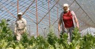 Köylü eyleme koştu serayı unuttu