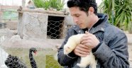 Kuluçkadaki hayvanların çoğu ölür