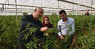 Kurs sonrası seraları incelediler   