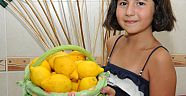 Limon fiyatı el yakıyor