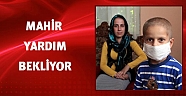 Lösemi hastası Mahir yardım bekliyor