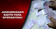 Manavgat'ta 7 bin 850 TL sahte para ele geçirildi