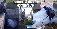 Manavgat’ta sinekle larva döneminde mücadele