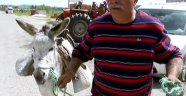 Muhtarın inadı inat