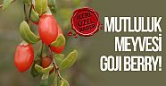 Mutluluk meyvesi Goji Berry!