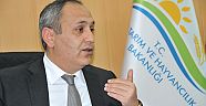 Nadas yerine Aspir üretin